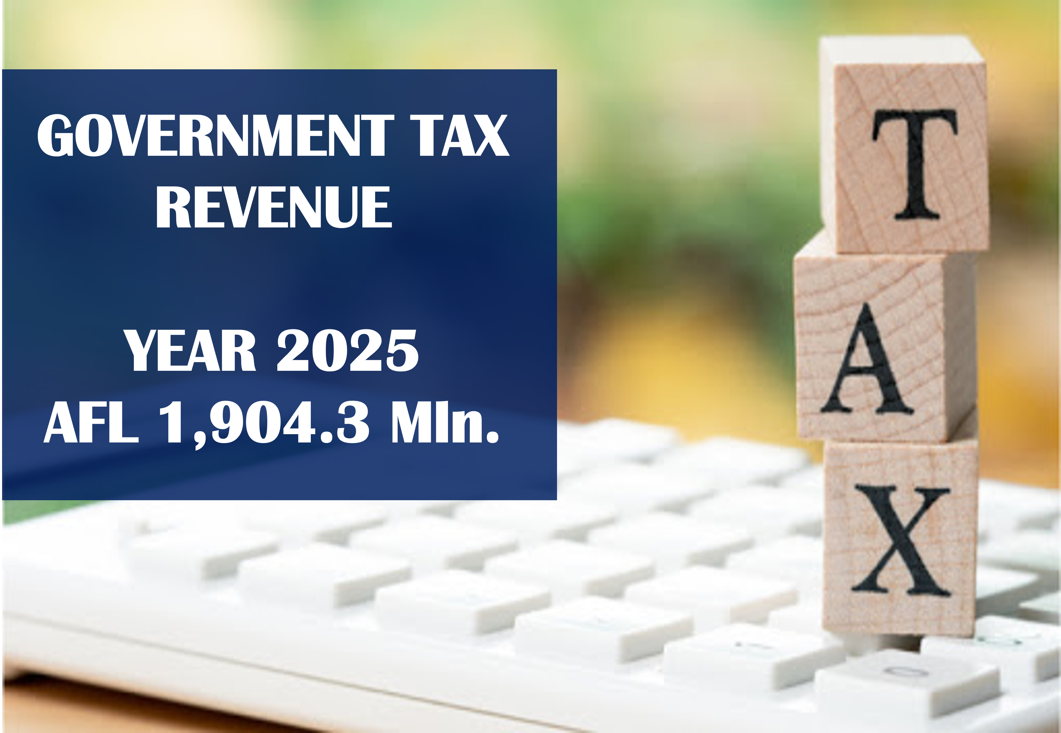 Government Revenue 2025